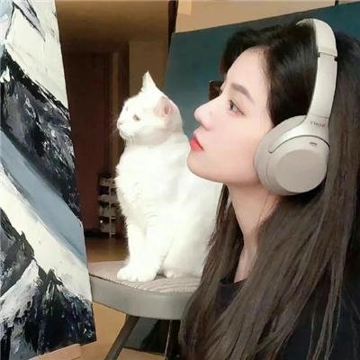 叛我心锁